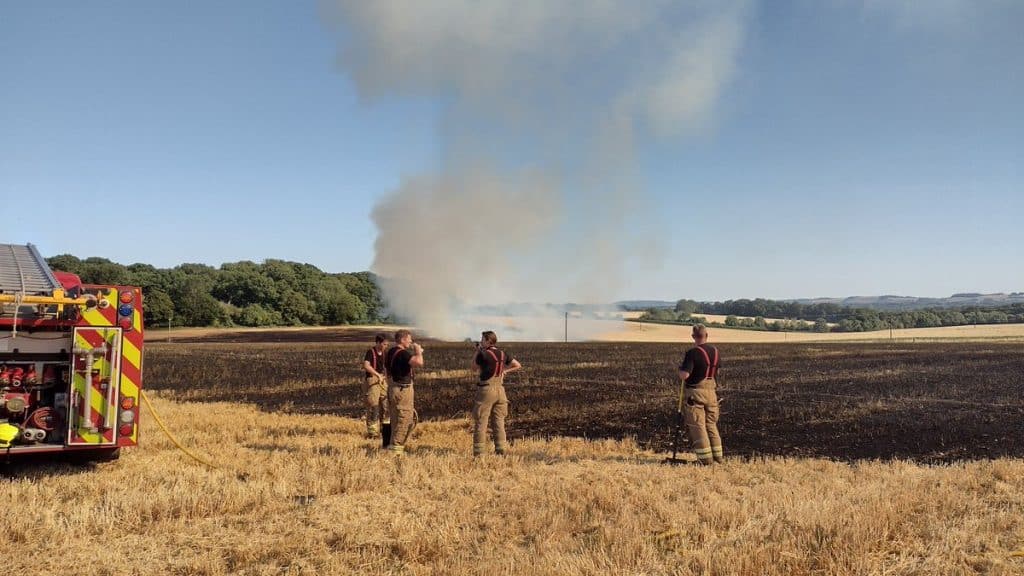 Four firefighters stand in a field with a fire in the open in the background.
