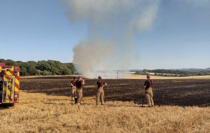 Firefighters stood in a field
