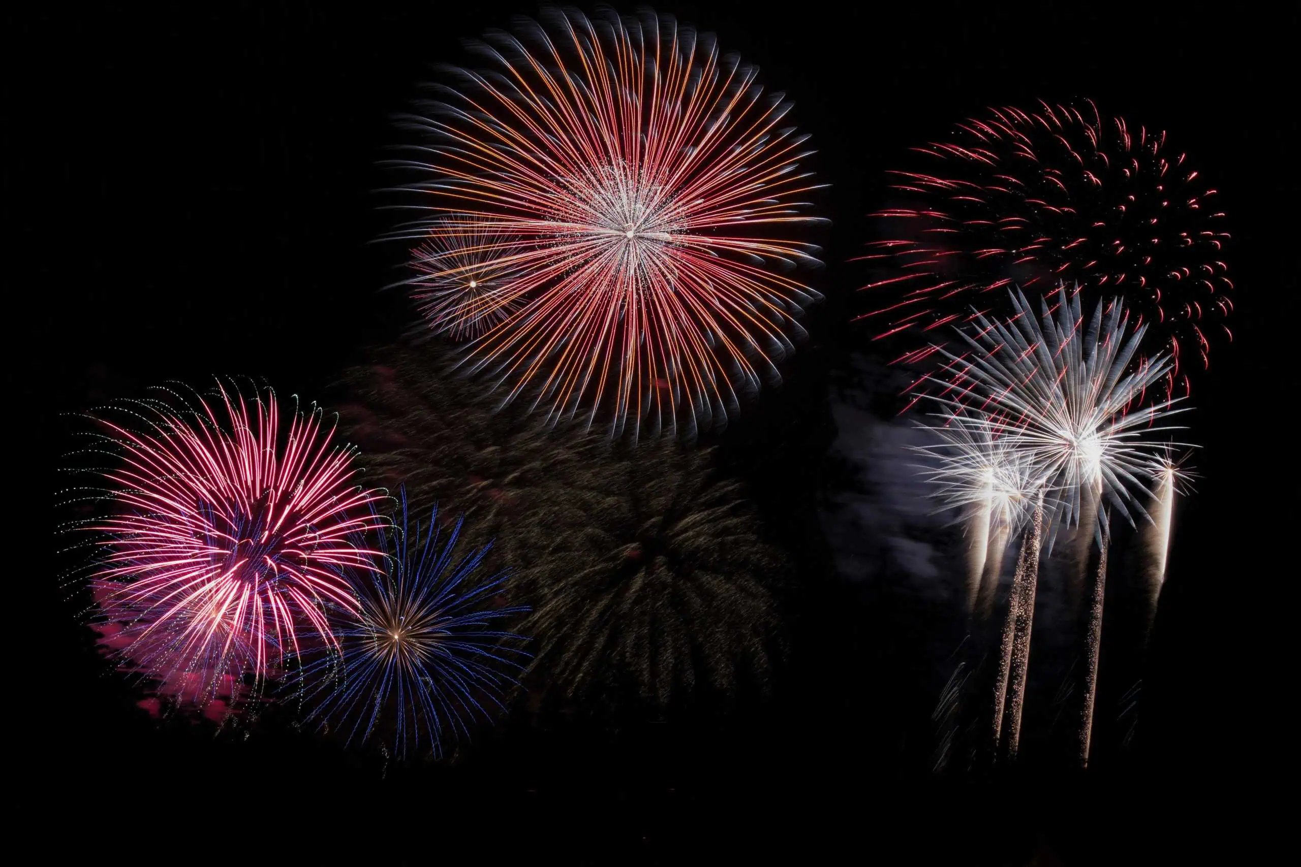 Colourful fireworks against a night sky.