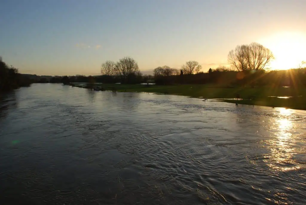 photograph of a river with high water.